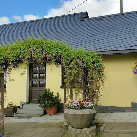 Ferienhaus Riedl Klingenthal Exteriér fotografie